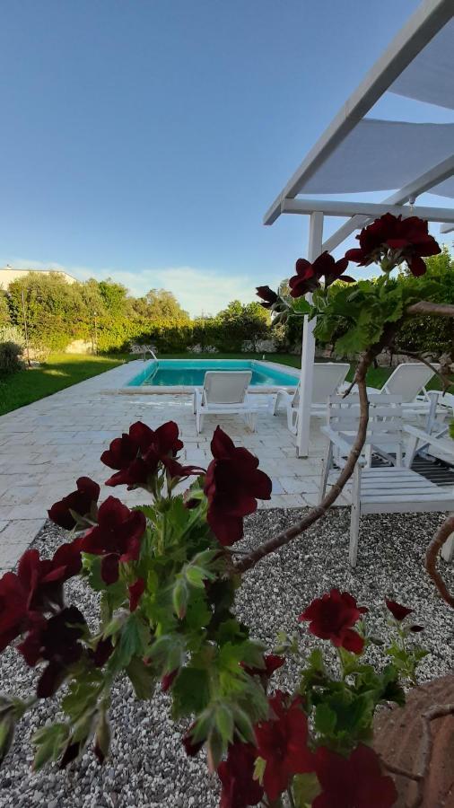 B&B Masseria Sant'Angelo Antonelli Εξωτερικό φωτογραφία