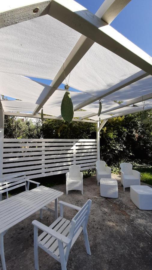 B&B Masseria Sant'Angelo Antonelli Εξωτερικό φωτογραφία
