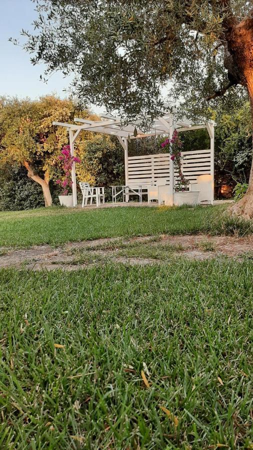 B&B Masseria Sant'Angelo Antonelli Εξωτερικό φωτογραφία