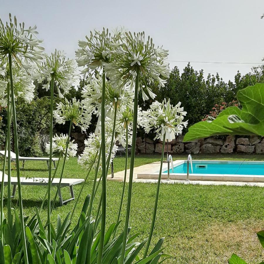 B&B Masseria Sant'Angelo Antonelli Εξωτερικό φωτογραφία