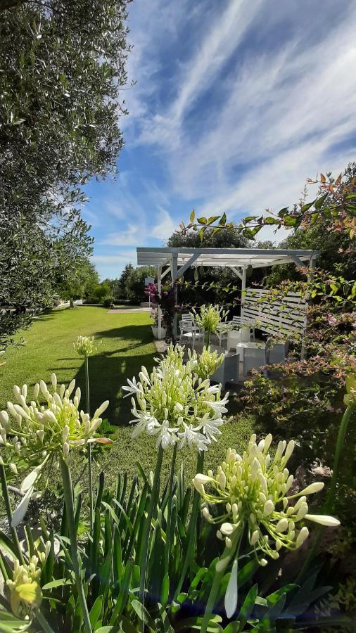 B&B Masseria Sant'Angelo Antonelli Εξωτερικό φωτογραφία