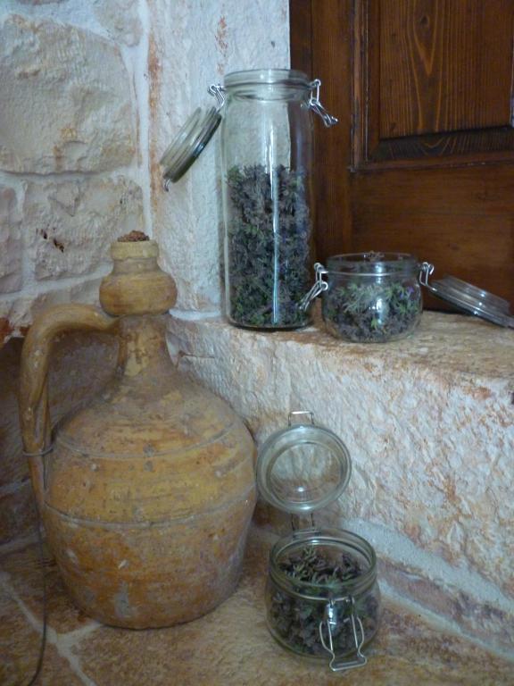 B&B Masseria Sant'Angelo Antonelli Εξωτερικό φωτογραφία